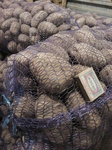 Оптовая и розничная реализация продовольственного картофеля