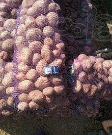 Продажа картофеля