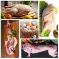 Мясо и яйца из своего хозяйства