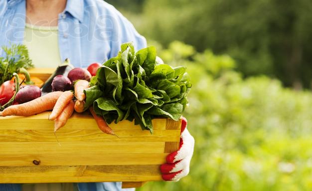 Поставки HoReCa