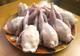 Яйцо куриное перепелиное мясо перепела птенцы