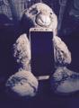 Samsung Galaxy S8