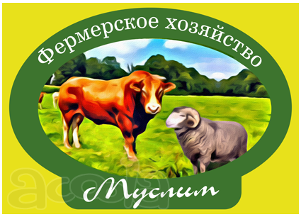Свежее халяльное мясо от фермерского хозяйства Муслим