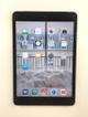 IPad mini 16gb идеальное состояние