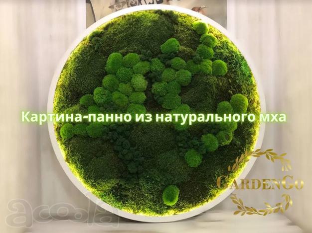 Картина-панно из натурального мха