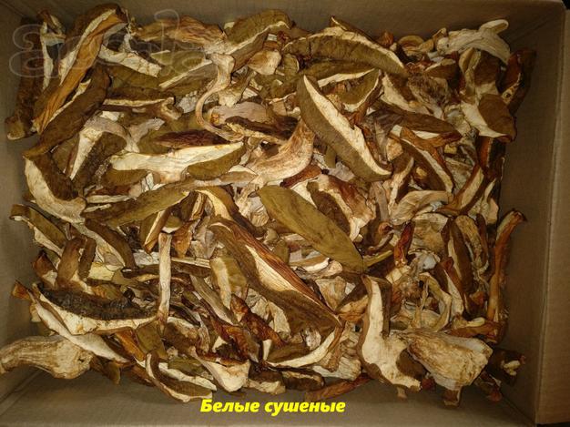 Грибы сушеные Спб (белые, красные, подосиновики, опята, трутовики)